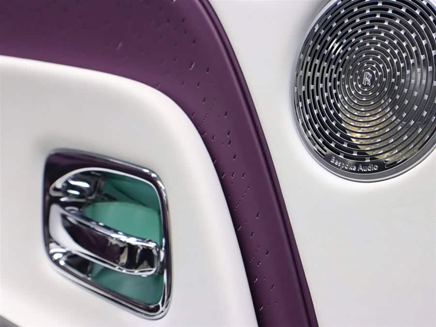 Rolls-Royce Spectre 2023 immagine di auto #9