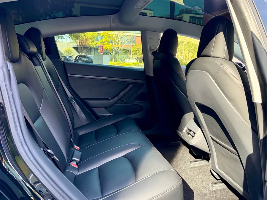 Tesla Model 3 2020 #9 Tesla Model 3 2020 car image #9