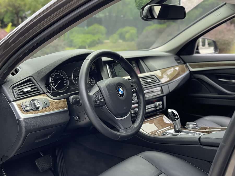 BMW 5 Series 2014 car image #9