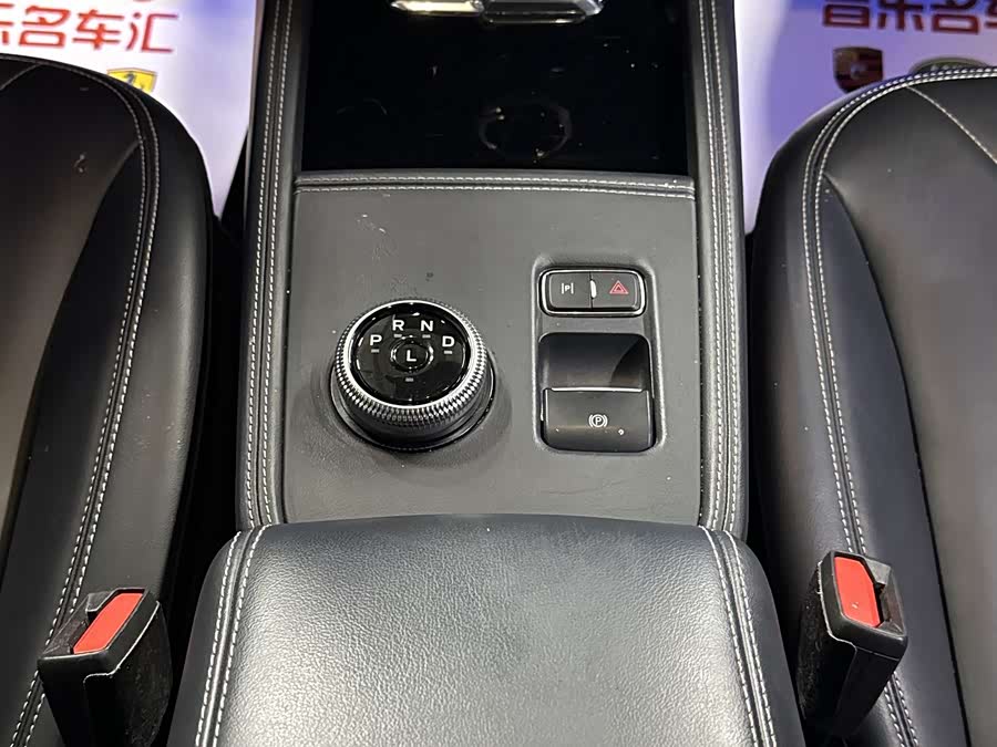 Ford Mustang Mach-E 2022 car image #9