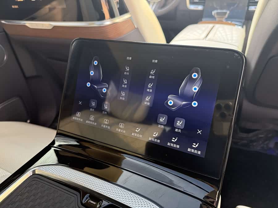 HongQi E-HS9 2020 image de voiture #9