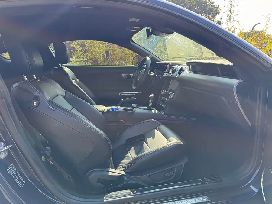 Ford Mustang 2020 immagine di auto #9