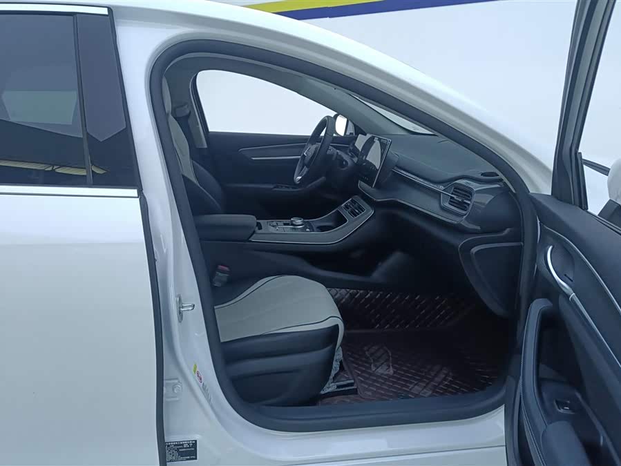 BYD Destroyer 05 2024 car image #9