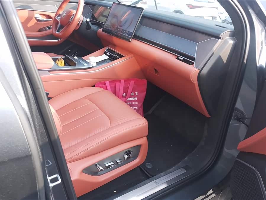 BYD Tang L 2025 #9 BYD Tang L 2025 immagine di auto #9