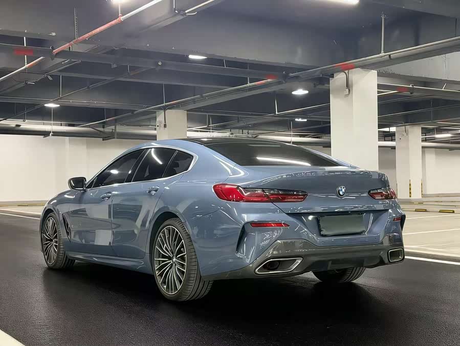 BMW 8 Series 2020 car image #9