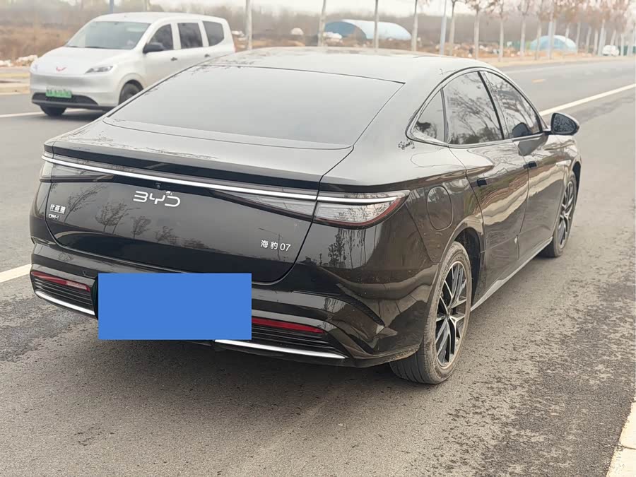 BYD Seal 07 DM-i 2024 car image #9
