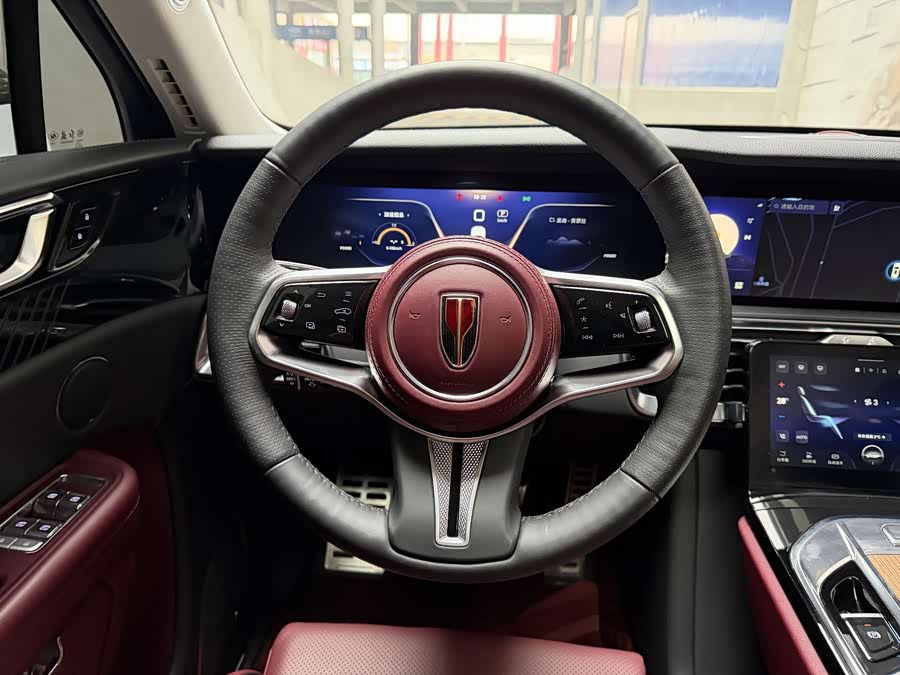 HongQi E-HS9 2023 car image #9