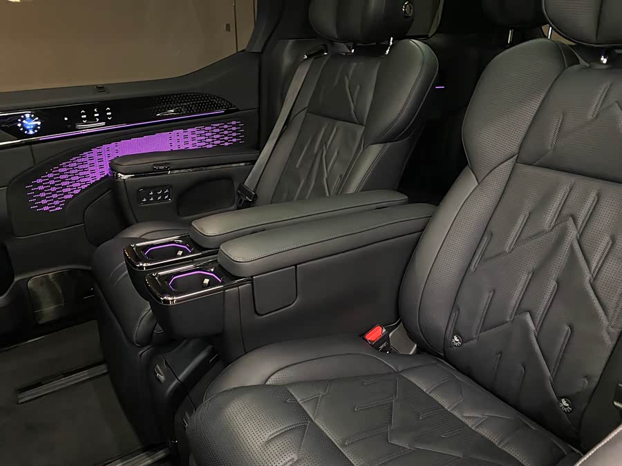 极氪 极氪009 2024 汽车图片 #9