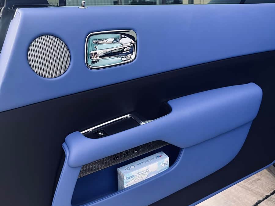 Denza Wraith 2020 immagine di auto #9