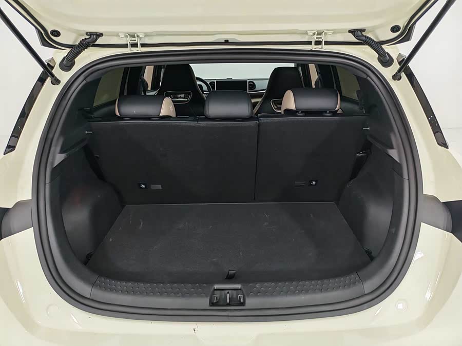 BYD Dolphin 2024 #9 BYD Dolphin 2024 изображение автомобиля #9