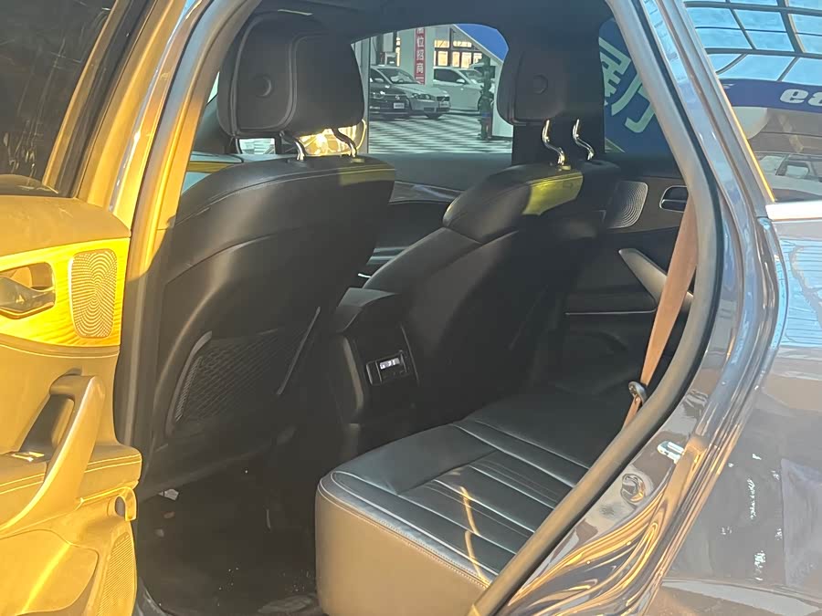 Denza X 2020 car image #9