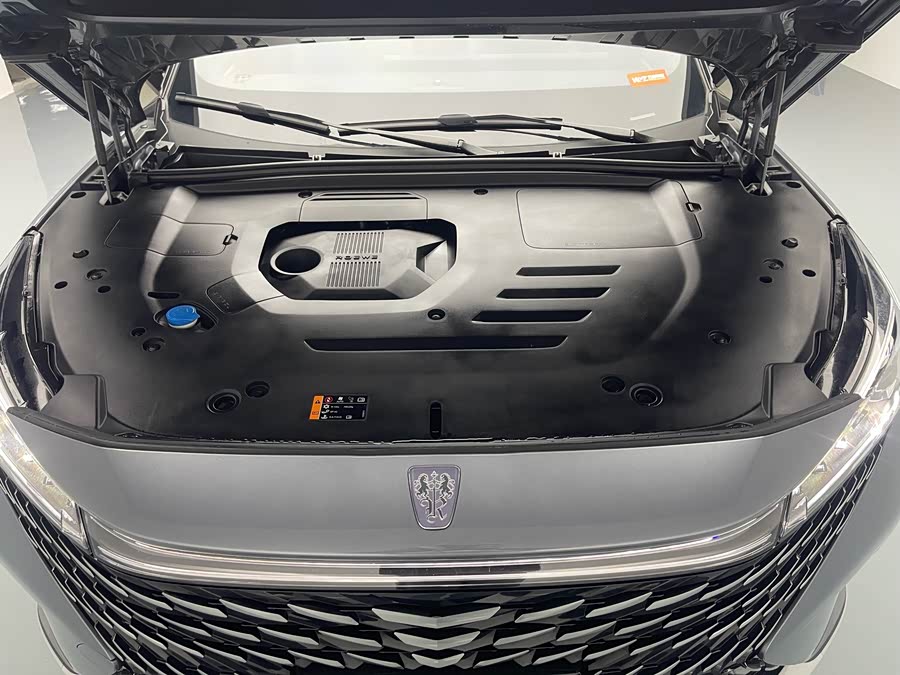 Roewe RX5 New Energy 2022 изображение автомобиля #9