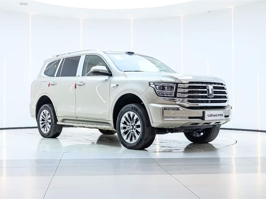 Tank 500 New Energy 2025 immagine di auto #9