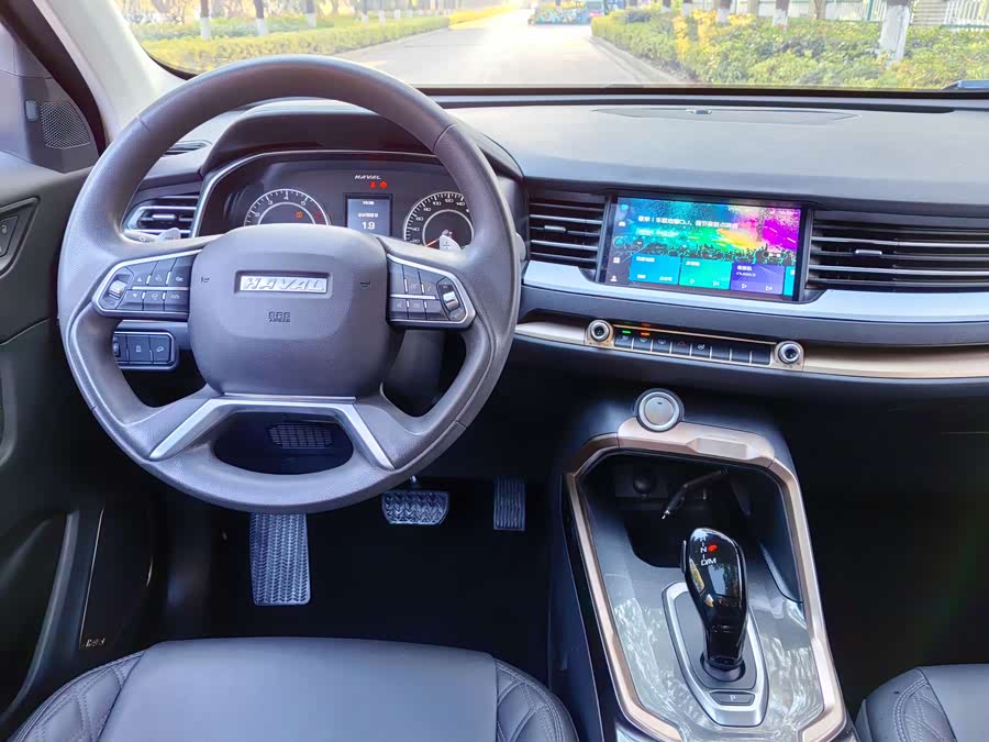 Haval H6 2020 car image #9