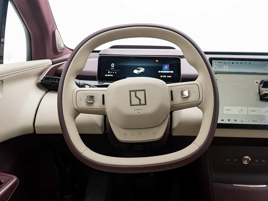 极氪 极氪X 2024 汽车图片 #9