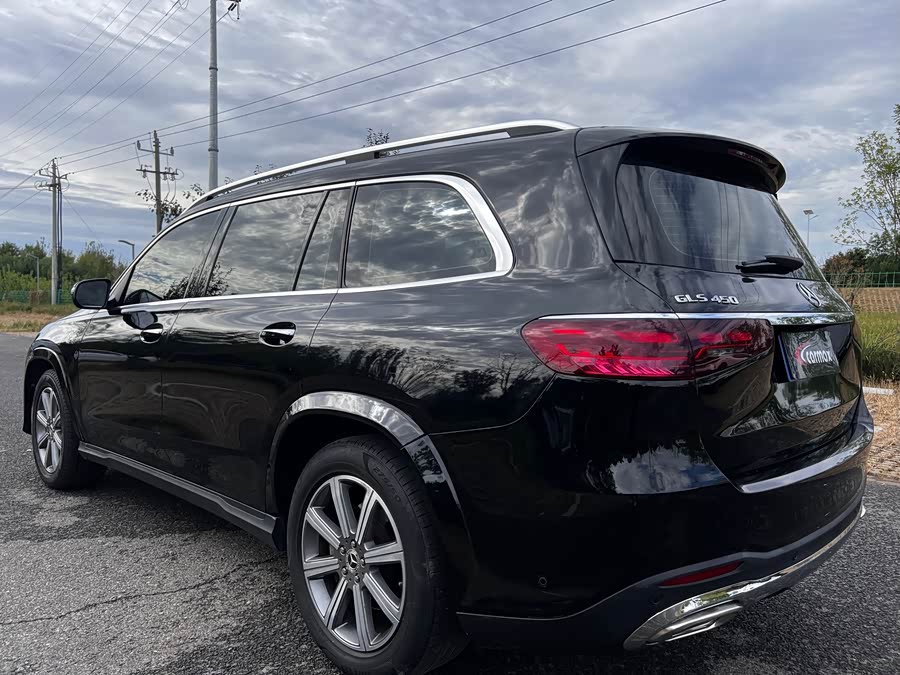 Mercedes-Benz GLS Class 2020 car image #9