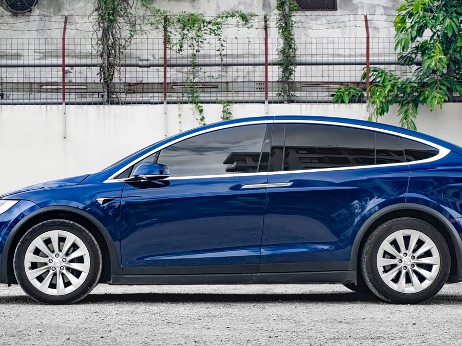 Tesla Model X 2020 car image #9