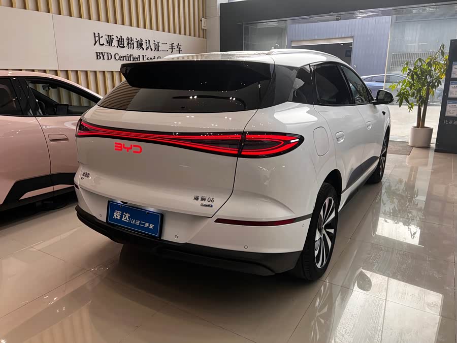 BYD Sea Lion 06 New Energy 2025 car image #9