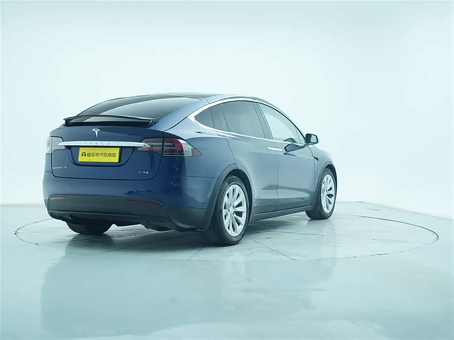 Tesla Model X 2018 car image #9