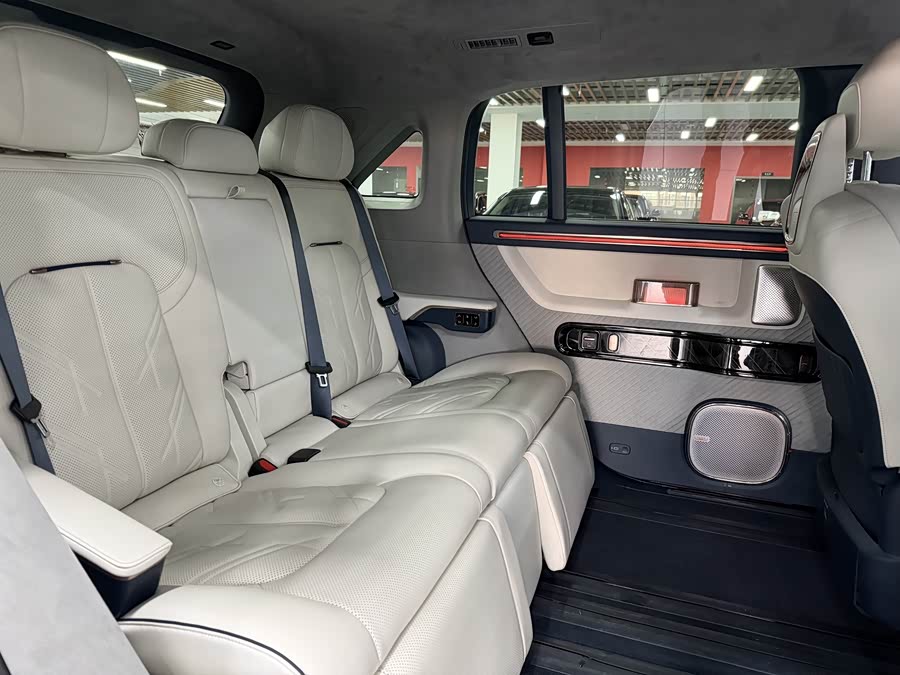 极氪 极氪MIX 汽车图片 #9