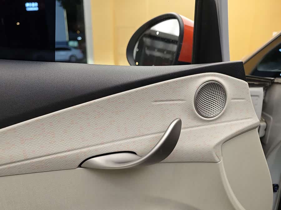 BYD Dolphin 2022 car image #9