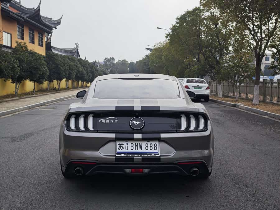 Ford Mustang 2019 car image #9