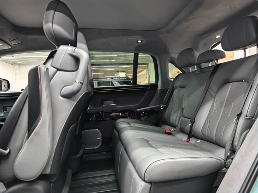 极氪 极氪MIX 2024 汽车图片 #9