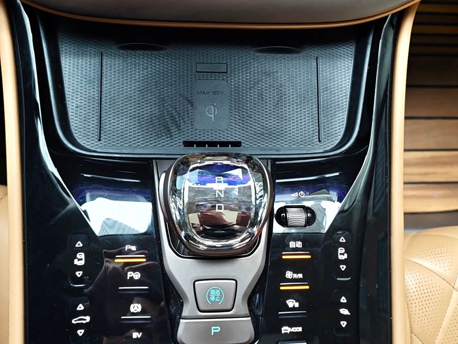 Denza D9 2023 car image #9