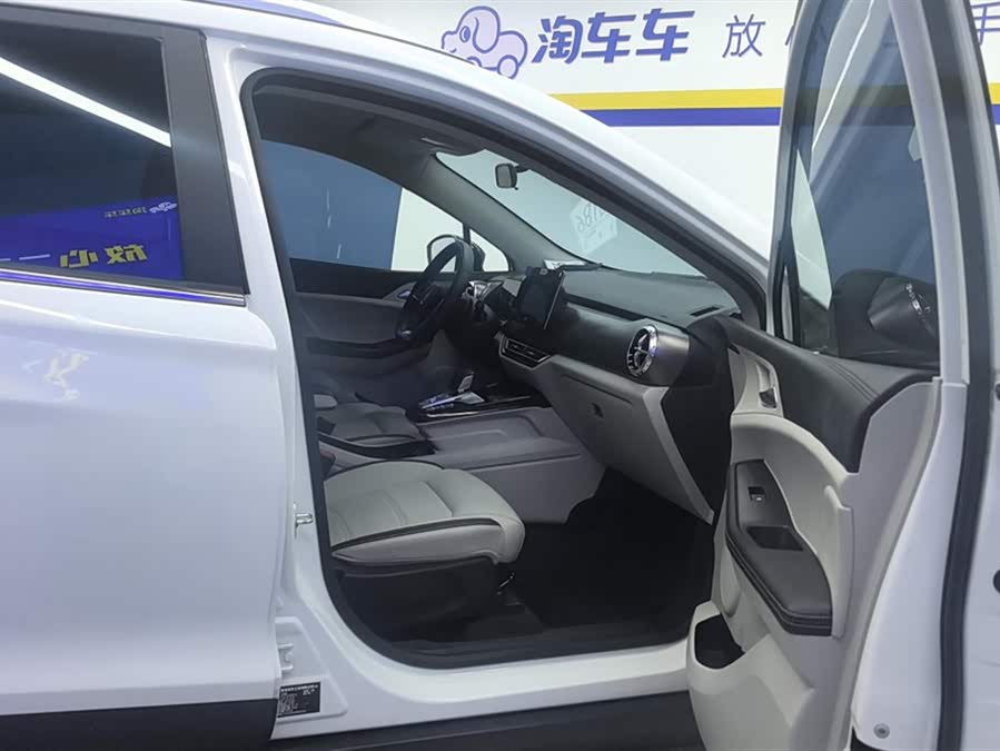 BYD Yuan Pro 2022 car image #9