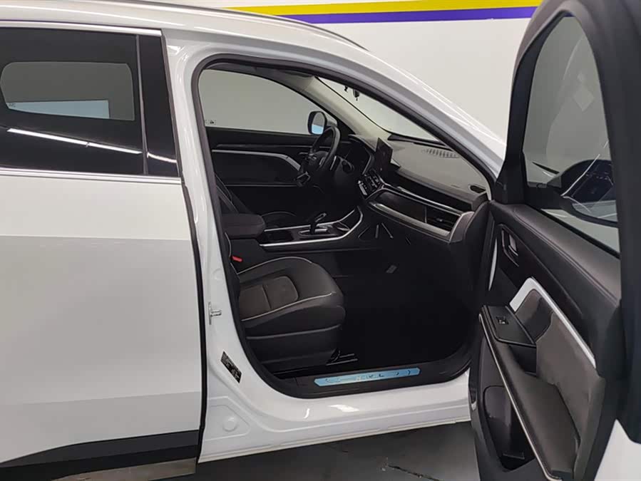 Haval H6 2023 car image #9