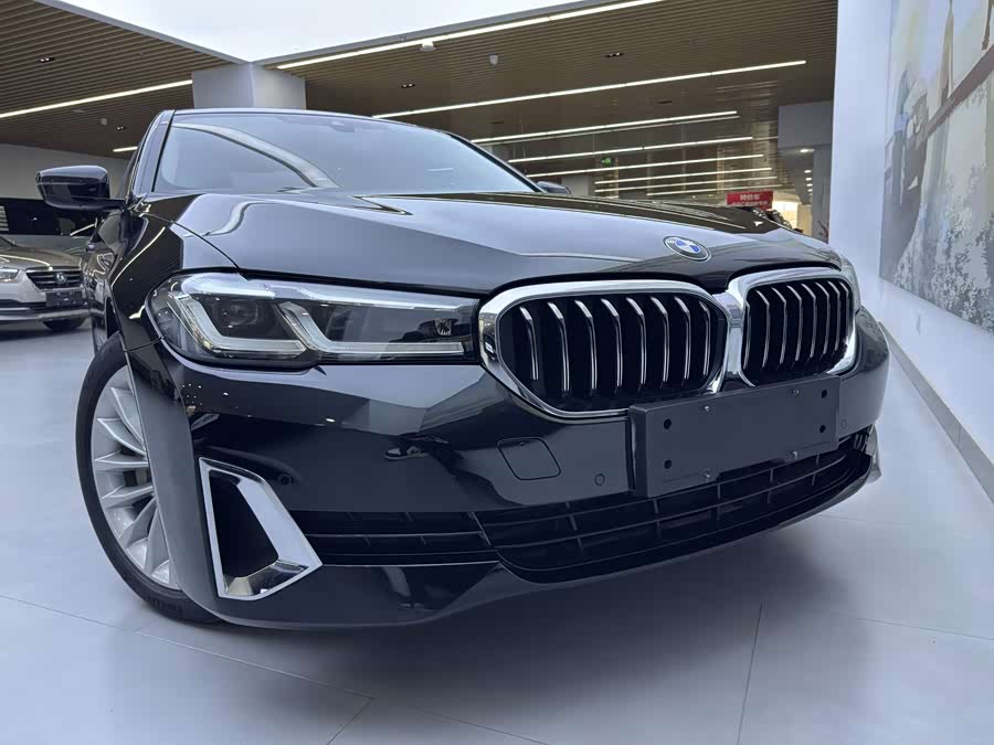 BMW 5 Series New Energy 2020 car image #9