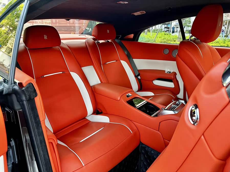 Denza Wraith 2014 immagine di auto #9
