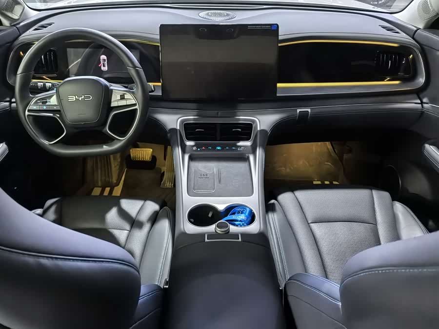 BYD Sea Lion 07 DM-i 2025 car image #9