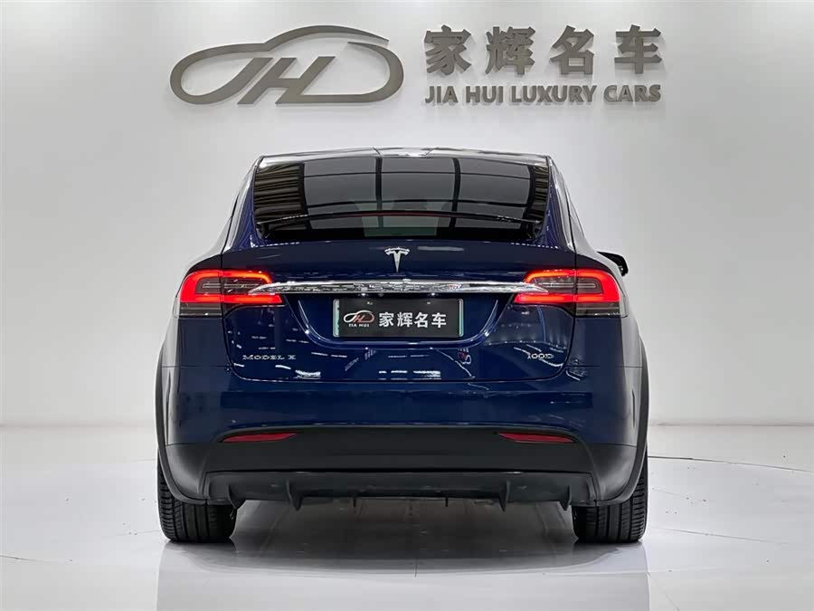 Tesla Model X 2018 car image #9