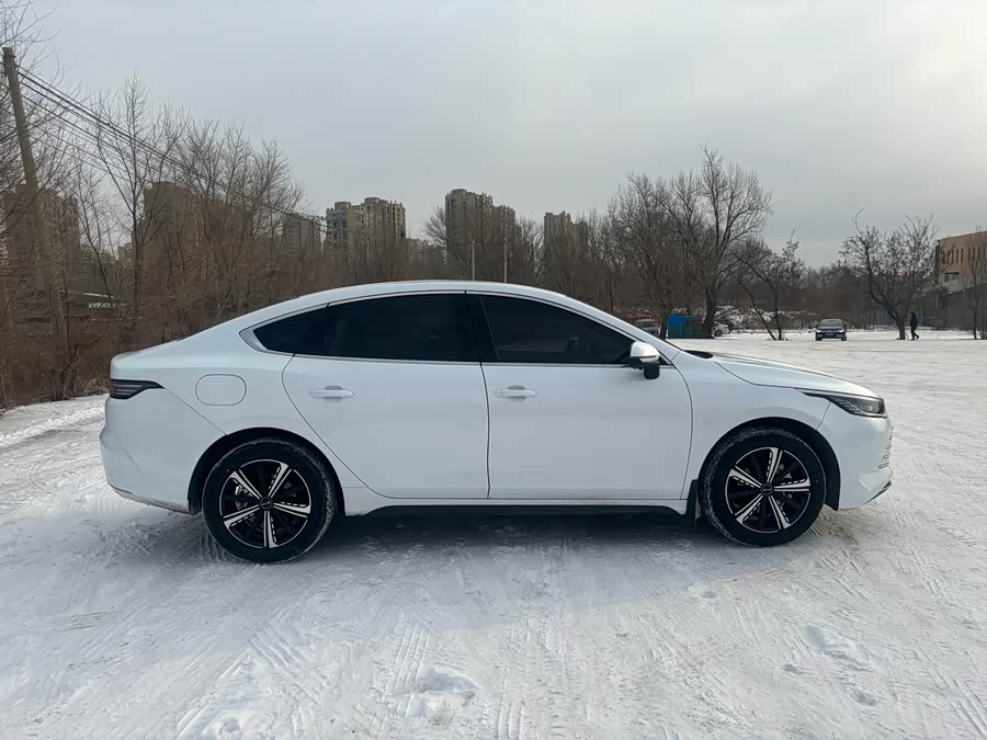 BYD Destroyer 05 2024 car image #9