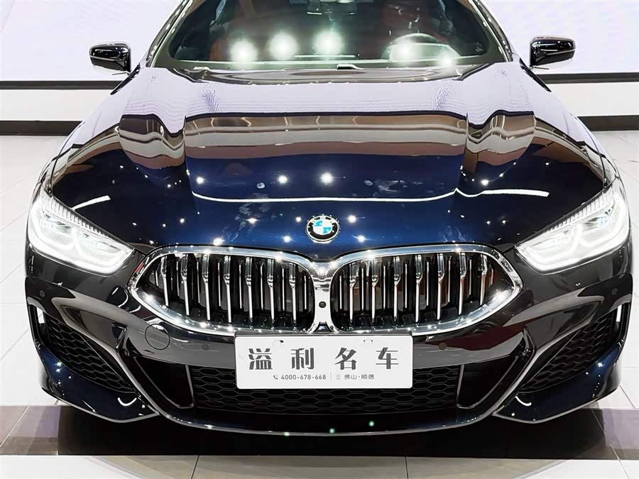 BMW 8 Series 2020 #9 BMW 8 Series 2020 immagine di auto #9