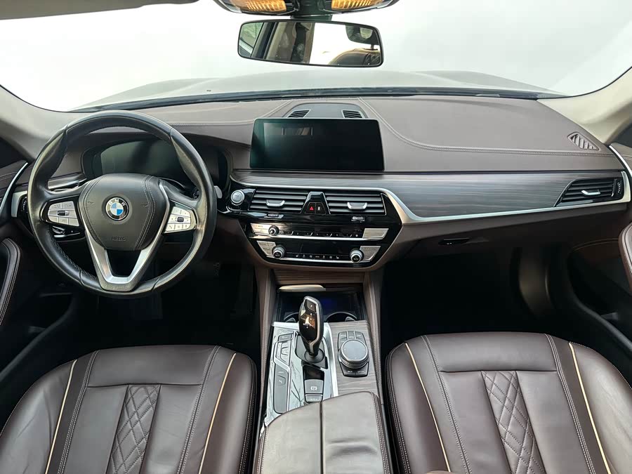 BMW 5 Series New Energy 2020 car image #9