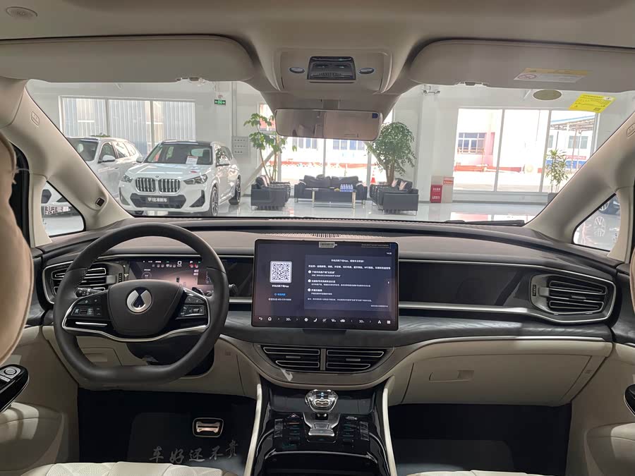 Denza D9 2025 imagen de coche #9