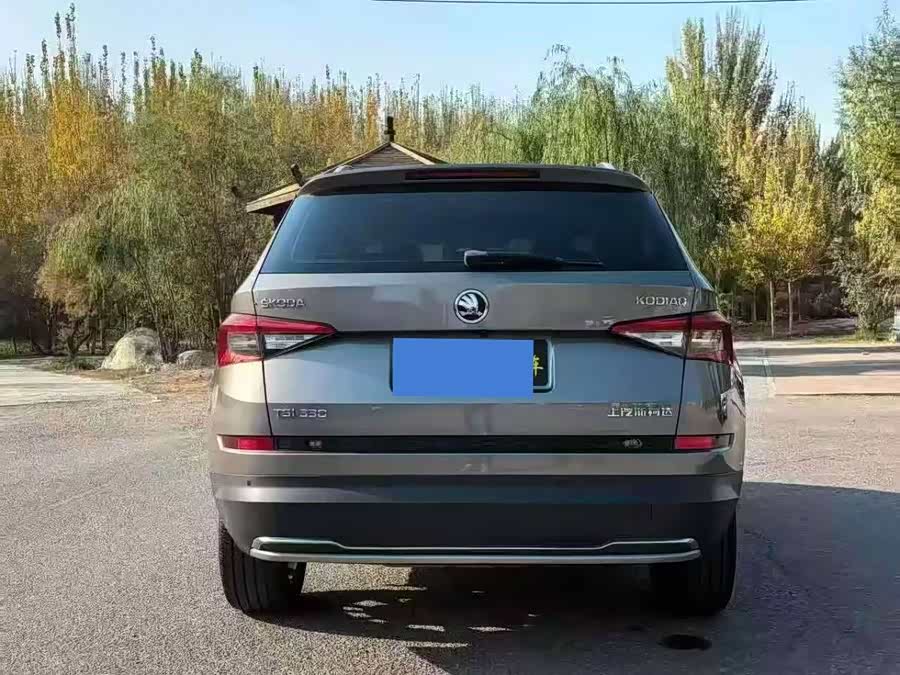 Skoda Kodiaq 2018 car image #9