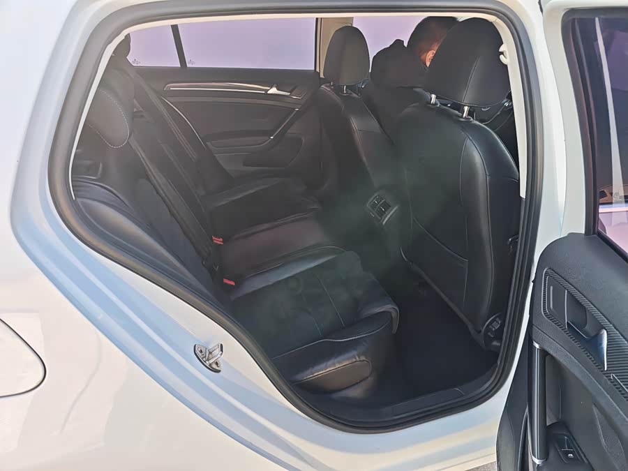 Volkswagen Golf 2019 car image #9