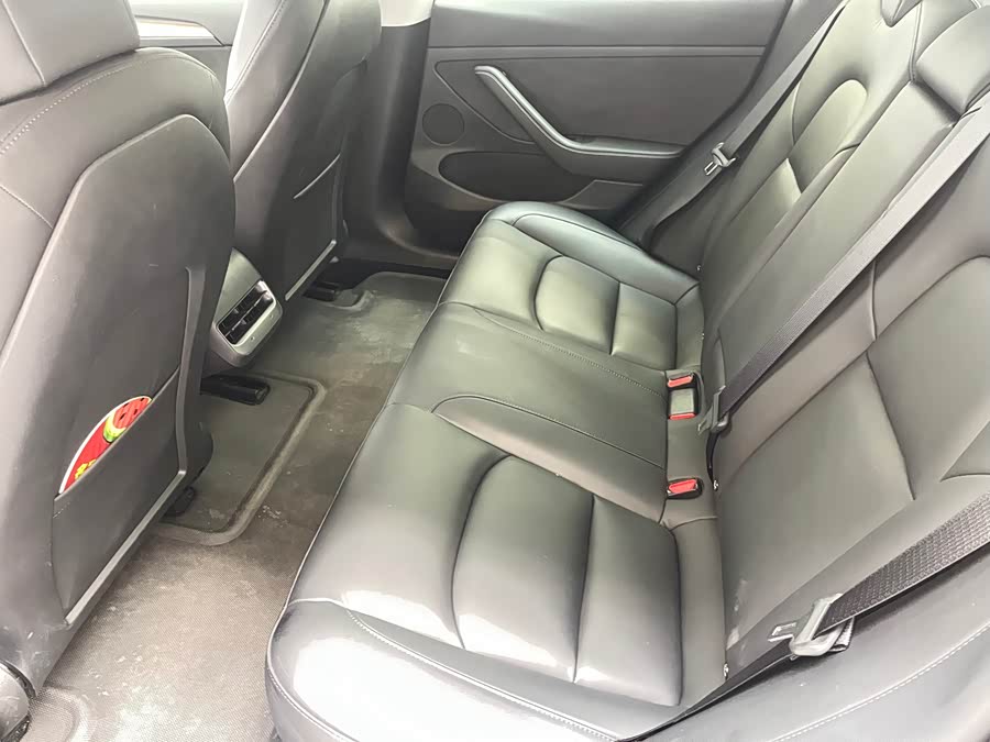 Tesla Model 3 2021 car image #9