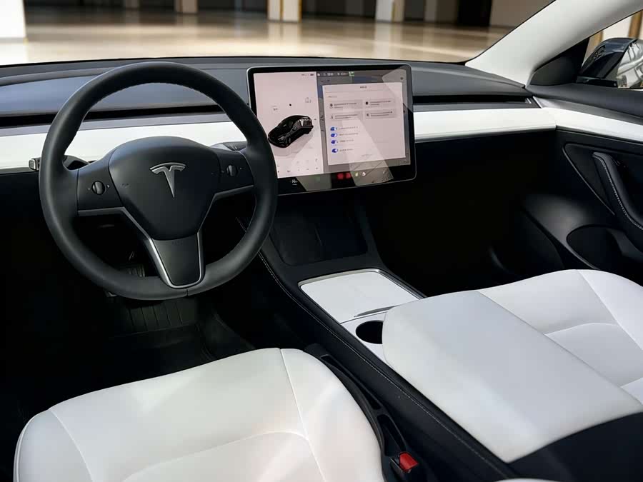 Tesla Model 3 2023 immagine di auto #9