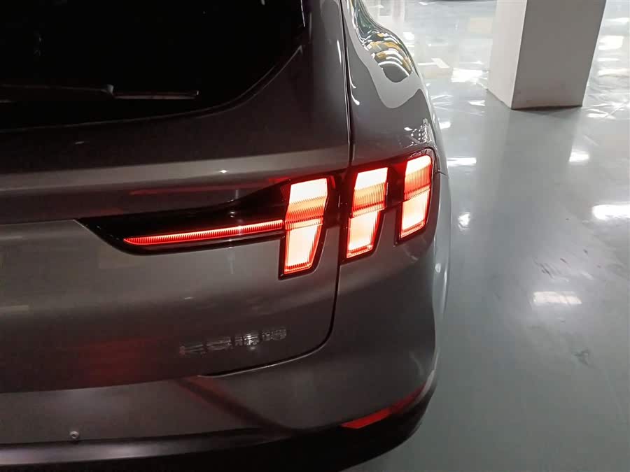 Ford Mustang Mach-E 2022 car image #9