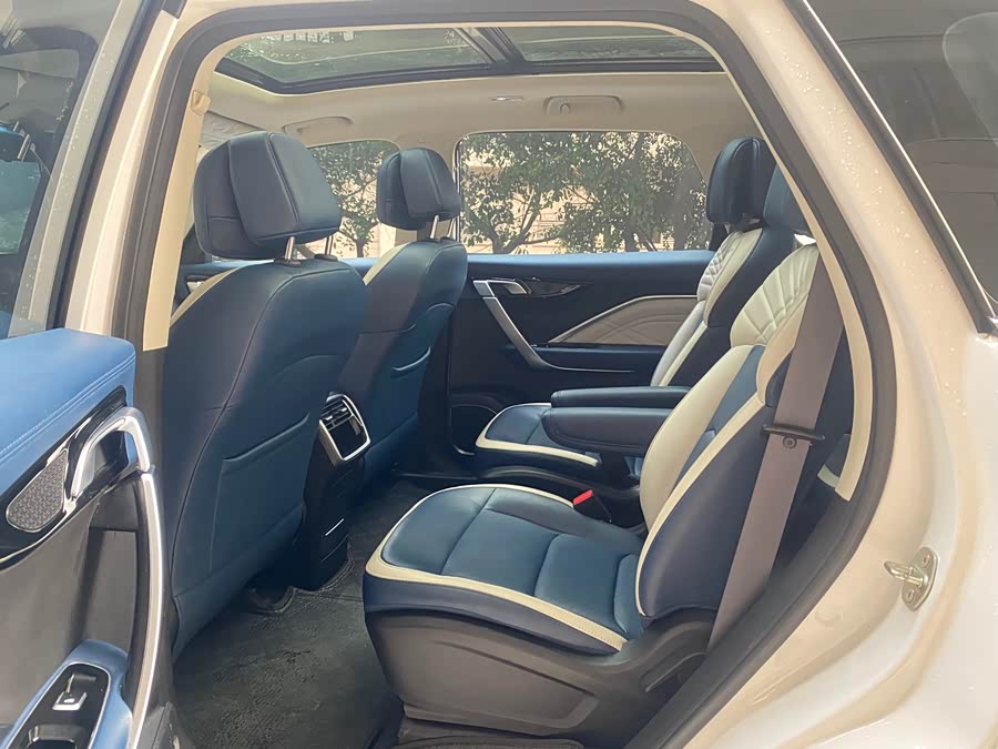 睿蓝汽车 枫叶80v PRO 2023 汽车图片 #9