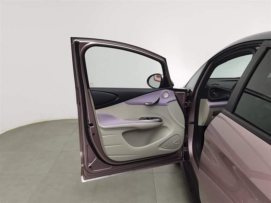 BYD Dolphin 2023 car image #9