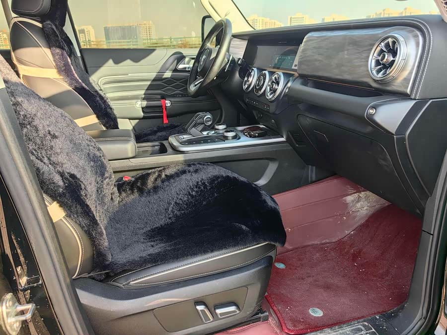 Tank 300 2024 car image #9