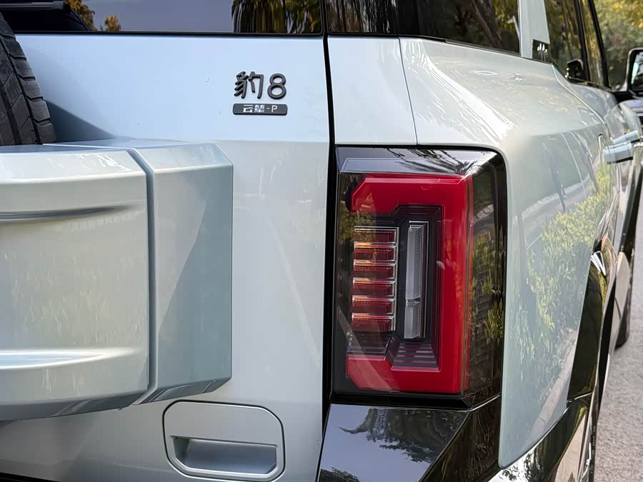 FangChengBao Leopard 8 2024 car image #9