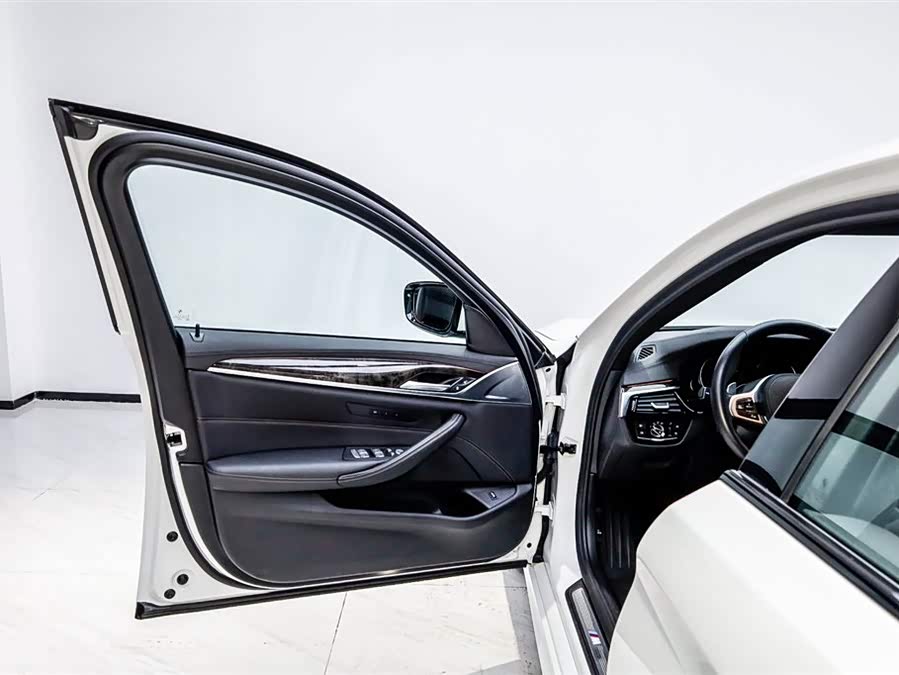 BMW 5 Series 2019 car image #9