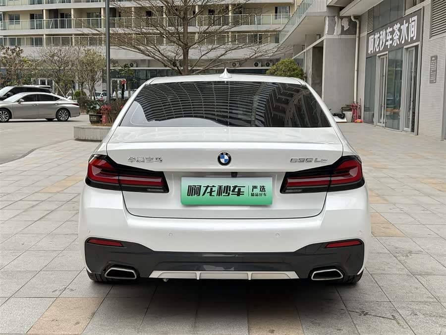 BMW 5 Series New Energy 2021 car image #9