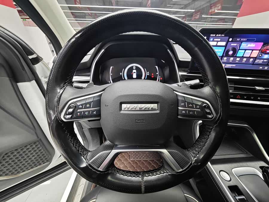 Haval H6 2022 car image #9